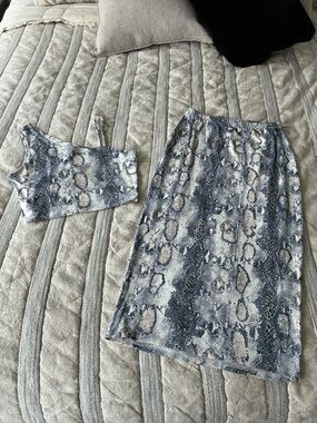 Snake Print Two-Piece Midi Set in Blue & Cream